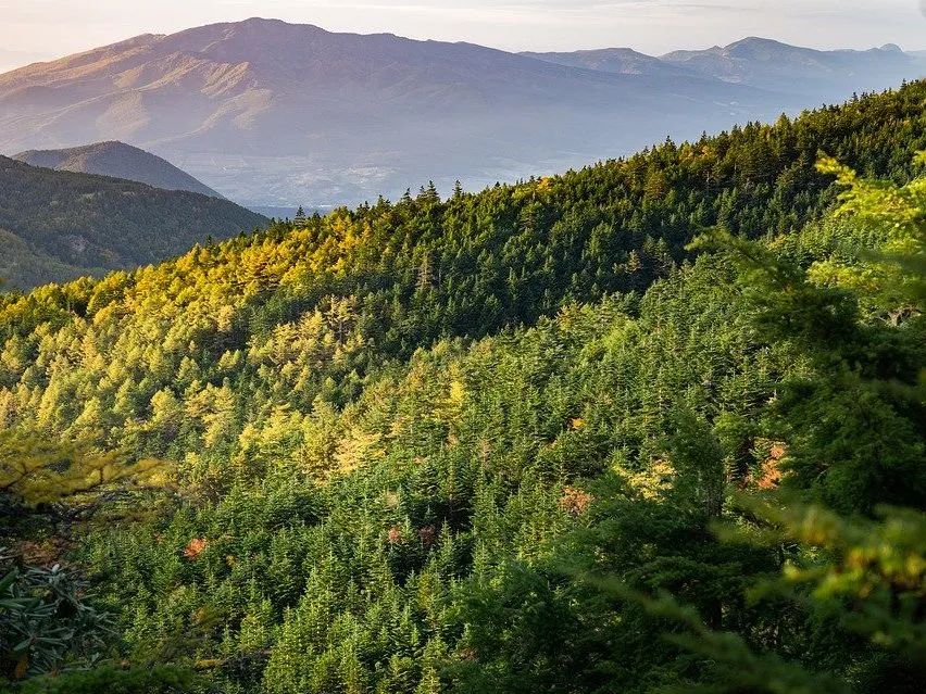 可變環(huán)境燃燒實驗艙